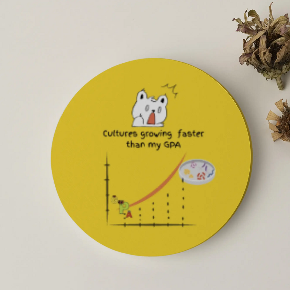 Cultures Growing Faster than My GPA | Acrylic Coaster