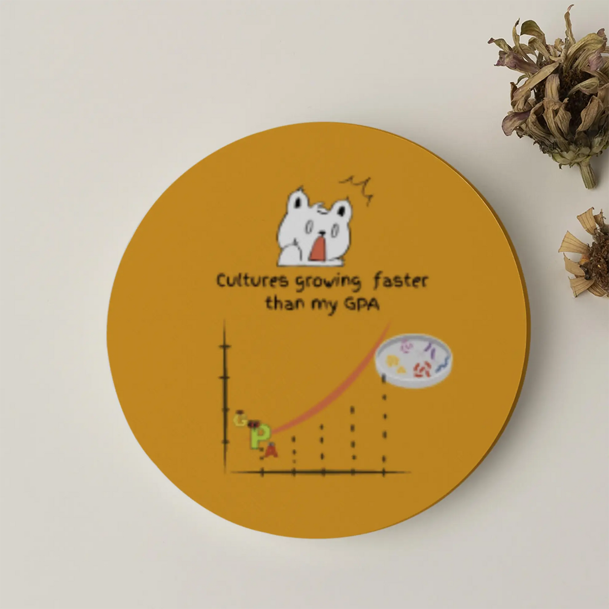 Cultures Growing Faster than My GPA | Acrylic Coaster